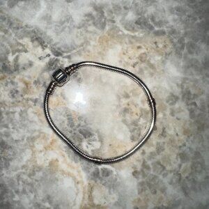 Pandora Snake Chain Bracelet!